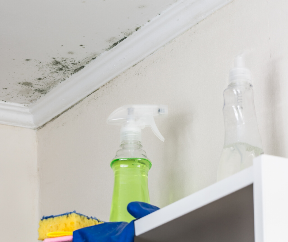 Is that musty smell in my house unhealthy?